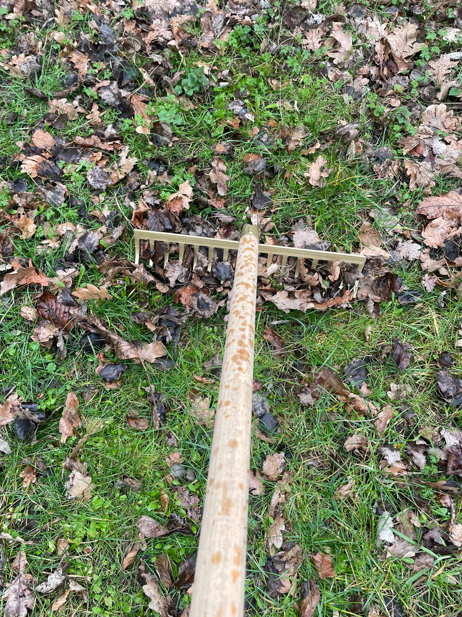 Tuinhark OFFNER 16 gebogen tanden met steel 170 cm